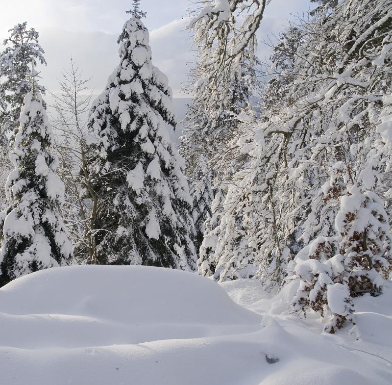 19 - Descente vers le Rudlin.jpg